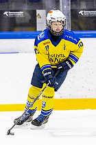 Klik for at se eller bestil foto