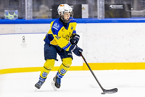 Klik for at se eller bestil foto