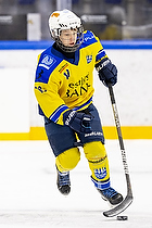 Klik for at se eller bestil foto