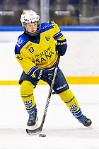 Klik for at se eller bestil foto