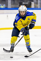 Klik for at se eller bestil foto