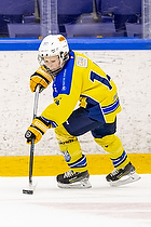 Klik for at se eller bestil foto