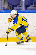 Klik for at se eller bestil foto