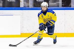 Klik for at se eller bestil foto