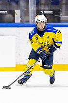 Klik for at se eller bestil foto