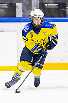 Klik for at se eller bestil foto