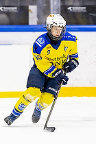 Klik for at se eller bestil foto