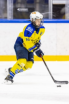 Klik for at se eller bestil foto