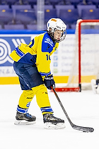 Klik for at se eller bestil foto