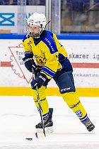 Klik for at se eller bestil foto