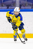 Klik for at se eller bestil foto