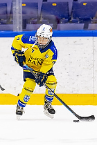 Klik for at se eller bestil foto