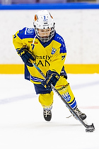 Klik for at se eller bestil foto