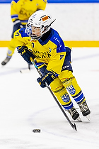 Klik for at se eller bestil foto