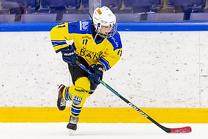 Klik for at se eller bestil foto