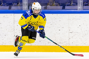 Klik for at se eller bestil foto