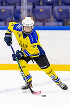 Klik for at se eller bestil foto