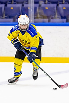 Klik for at se eller bestil foto