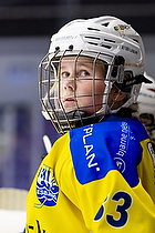 Klik for at se eller bestil foto