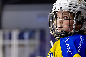 Klik for at se eller bestil foto