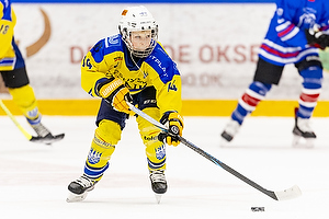 Klik for at se eller bestil foto