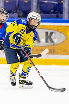 Klik for at se eller bestil foto