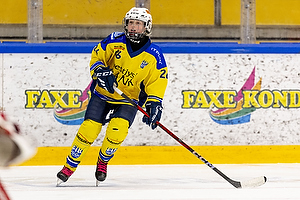 Klik for at se eller bestil foto