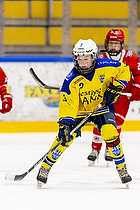 Klik for at se eller bestil foto