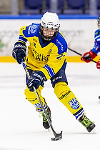 Klik for at se eller bestil foto