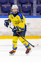 Klik for at se eller bestil foto