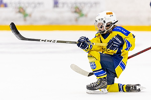 Klik for at se eller bestil foto