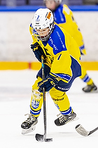 Klik for at se eller bestil foto