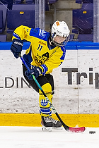 Klik for at se eller bestil foto