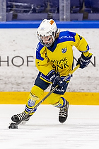 Klik for at se eller bestil foto