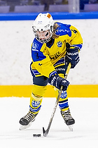 Klik for at se eller bestil foto