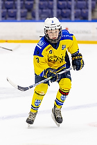 Klik for at se eller bestil foto