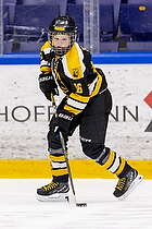 Klik for at se eller bestil foto