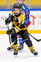 Klik for at se eller bestil foto