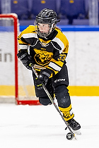 Klik for at se eller bestil foto