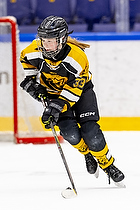 Klik for at se eller bestil foto