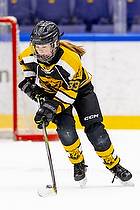 Klik for at se eller bestil foto