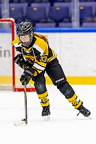 Klik for at se eller bestil foto