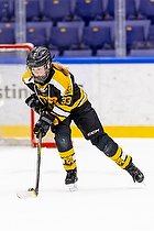 Klik for at se eller bestil foto