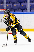 Klik for at se eller bestil foto