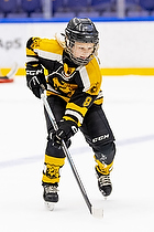 Klik for at se eller bestil foto