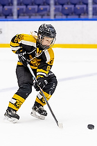 Klik for at se eller bestil foto