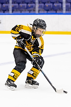 Klik for at se eller bestil foto