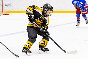 Klik for at se eller bestil foto