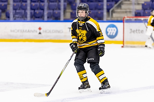 Klik for at se eller bestil foto