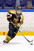 Klik for at se eller bestil foto